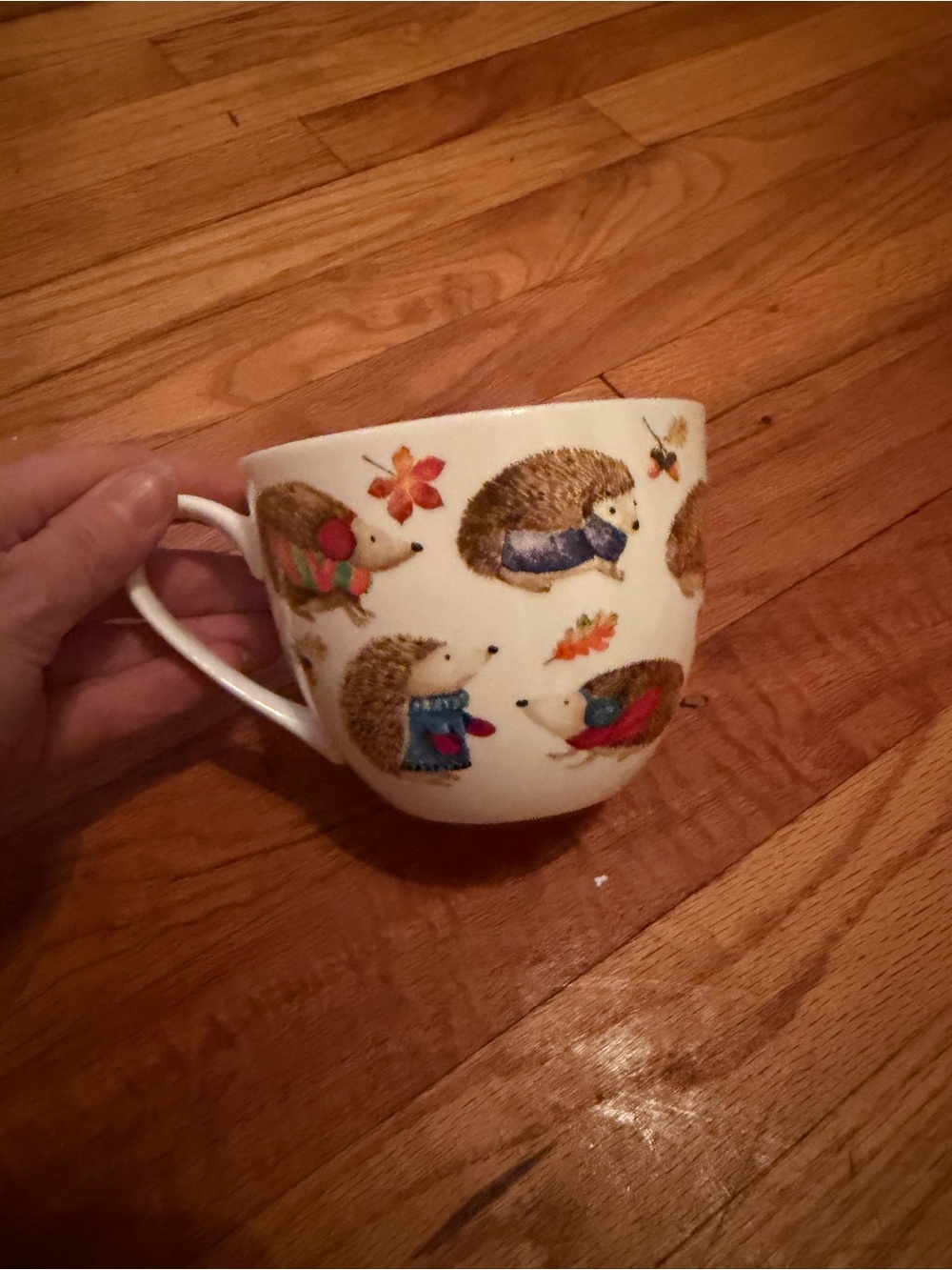 Hedgehog Pattern Ceramic Tea Cup - White